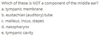 Which of these is NOT a component of the middle ear?
a. tympanic membrane
b. eustachian (auditory) tube
c. malleus, incus, stapes
d. nasopharynx
e. tympanic cavity
