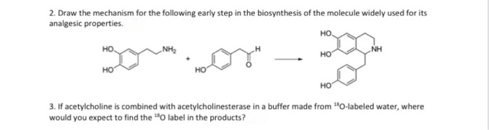 2. Draw the mechanism for the following early step in the biosynthesis of the molecule widely used for its
analgesic properties.
но.
NH
но
но
но
но

