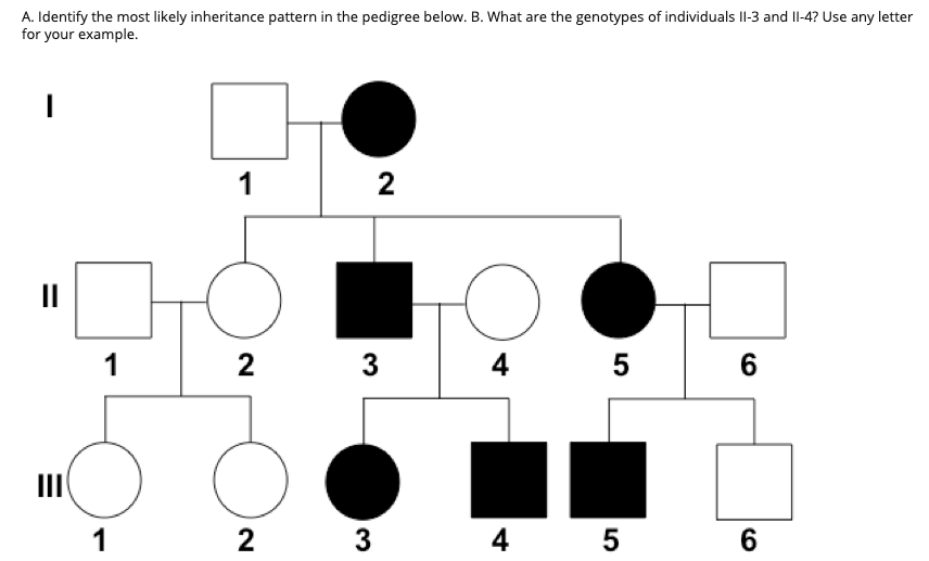 A. Identify the most likely inheritance pattern in the pedigree below. B. What are the genotypes of individuals II-3 and Il-4? Use any letter
for your example.
1
2
II
1
2
3
4 5
II
1
2 3 4 5 6

