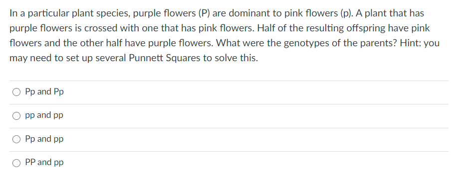 In a particular plant species, purple flowers (P) are dominant to pink flowers (p). A plant that has
purple flowers is crossed with one that has pink flowers. Half of the resulting offspring have pink
flowers and the other half have purple flowers. What were the genotypes of the parents? Hint: you
may need to set up several Punnett Squares to solve this.
Pp and Pp
pp and pp
Pp and pp
PP and pp
