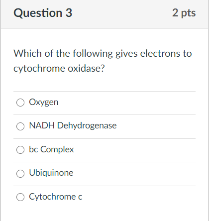 Question 3
2 pts
Which of the following gives electrons to
cytochrome oxidase?
O Oxygen
NADH Dehydrogenase
O bc Complex
O Ubiquinone
Cytochrome c

