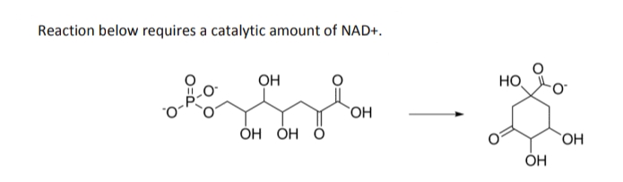 Reaction below requires a catalytic amount of NAD+.
OH
HO
OH
ОН ОН Ӧ
`OH
ÓH
