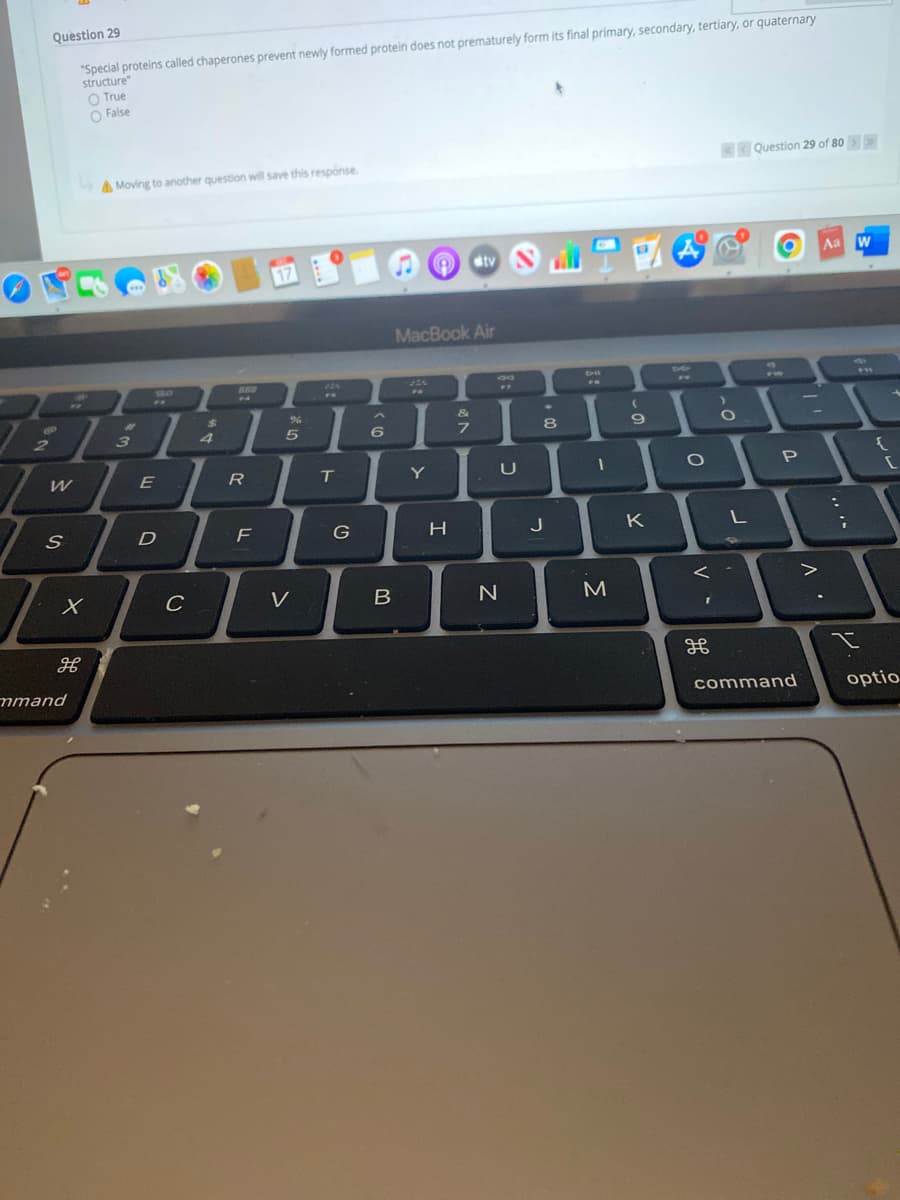 Question 29
"Special proteins called chaperones prevent newly formed protein does not prematurely form its final primary, secondary, tertlary, or quaternary
structure"
O True
O False
A Moving to another question will save this response.
Question 29 of 80 >
17
tv
Aa
MacBook Air
BEE
2
4
6.
7.
R
T.
Y
F
H.
K
C
V
く-
mmand
command
optio
リ
V -
