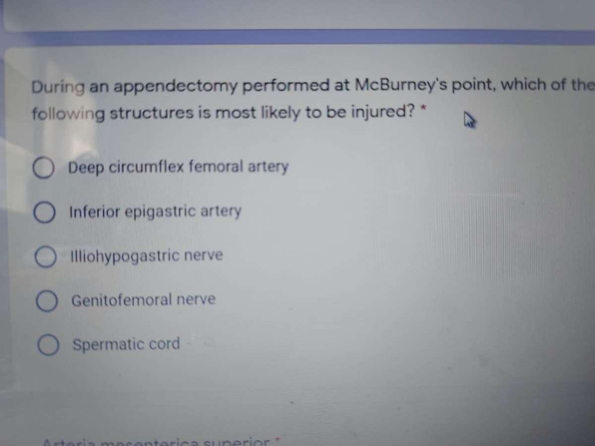 During an appendectomy performed at McBurney's point, which of thes
following structures is most likely to be injured?
Deep circumflex femoral artery
O Inferior epigastric artery
Illiohypogastric nerve
Genitofemoral nerve
O Spermatic cord
inerinr
