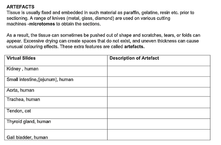 ARTEFACTS
Tissue is usually fixed and embedded in such material as paraffin, gelatine, resin etc. prior to
sectioning. A range of knives (metal, glass, diamond) are used on various cutting
machines -microtomes to obtain the sections.
As a result, the tissue can sometimes be pushed out of shape and scratches, tears, or folds can
appear. Excessive drying can create spaces that do not exist, and uneven thíckness can cause
unusual colouring effects. These extra features are called artefacts.
Virtual Slides
Description of Artefact
Kidney , human
Small intestine,(jejunum), human
Aorta, human
Trachea, human
Tendon, cat
Thyroid gland, human
Gall bladder, human

