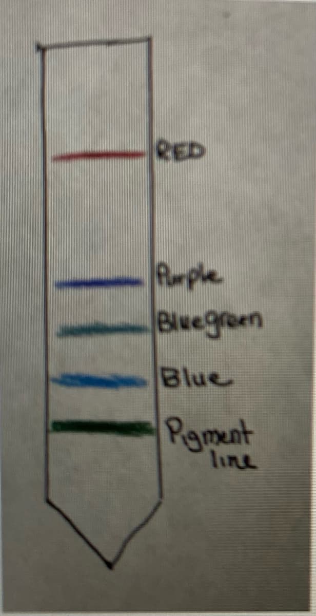 RED
Rumple
Bluegroen
Blue
Rgment
line
