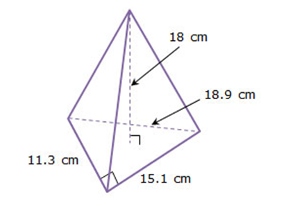 11.3 cm
18 cm
15.1 cm
18.9 cm