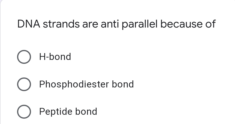 DNA strands are anti parallel because of
H-bond
Phosphodiester bond
Peptide bond

