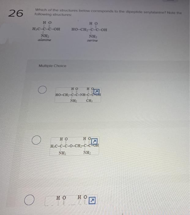 26
Which of the structures below corresponds to the dipeptide serytalanine? Note the
following structures
но
HO
H,C-c-c-OH
но-сн с-с-он
NH:
alanine
NH:
serine
Multiple Choice
HO
H.
HO-CH;-C-C-NH-C-CoH
NH:
CH
HO
но
H;C-C-C-O-CH;-C-C-oH
NH:
NH:
но
HO
