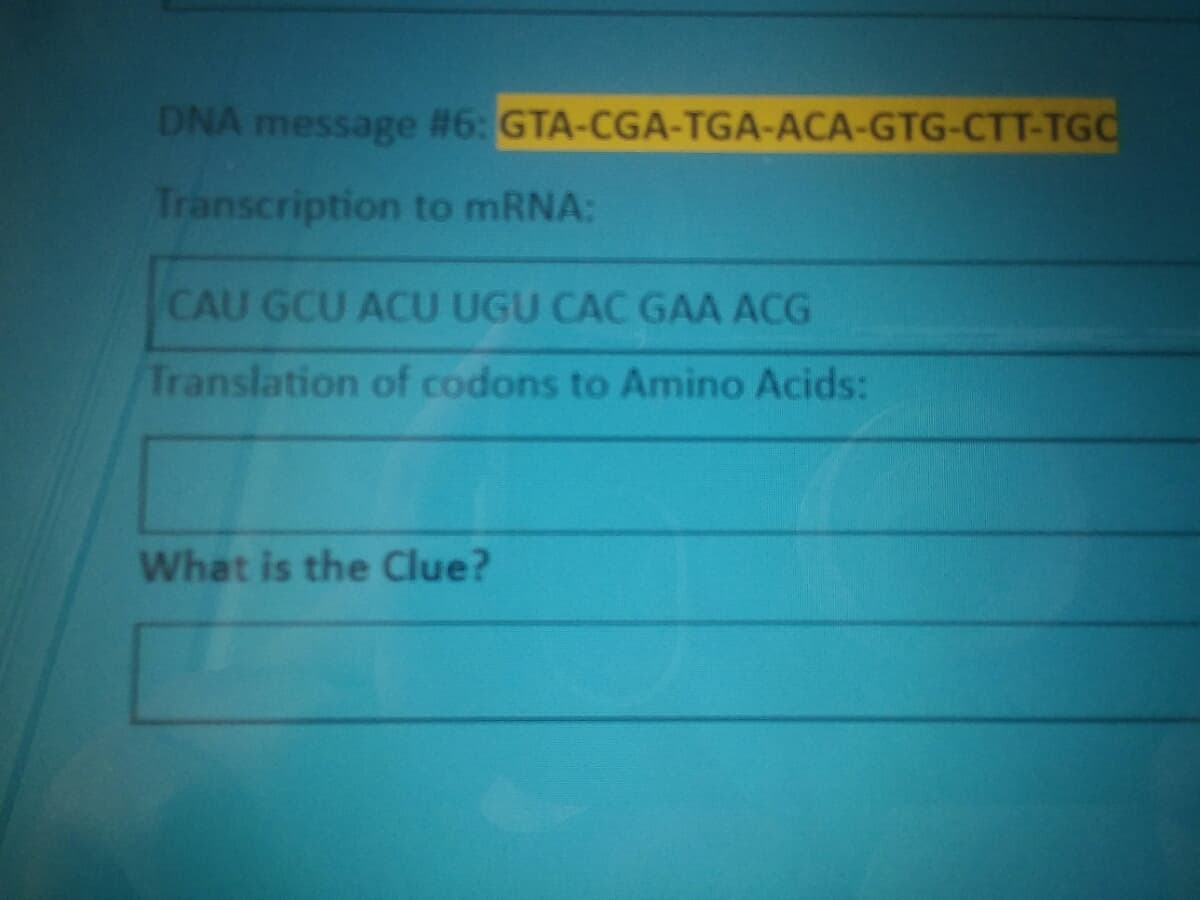 DNA message #6: GTA-CGA-TGA-ACA-GTG-CTT-TGC
Transcription to MRNA:
CAU GCU ACU UGU CAC GAA ACG
Translation of codons to Amino Acids:
What is the Clue?
