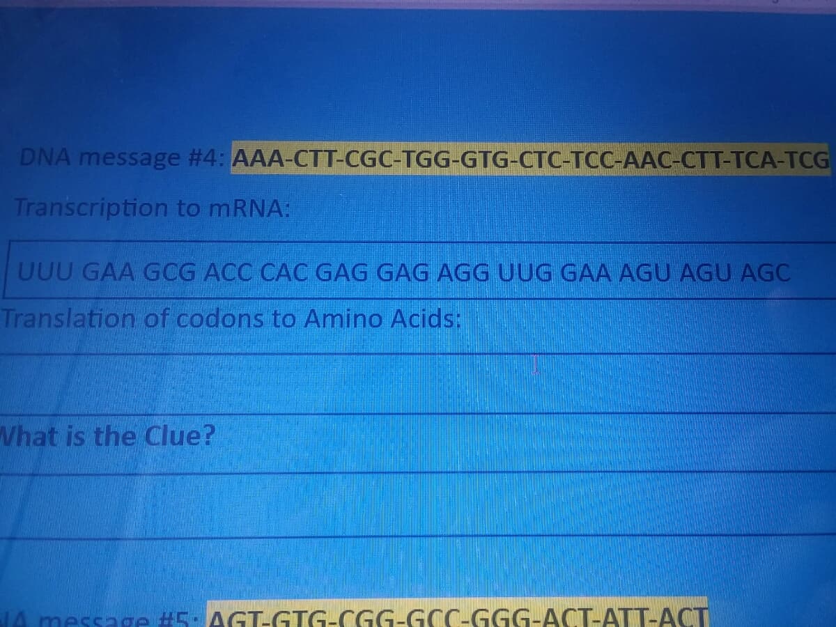 DNA message #4: AAA-CTT-CGC-TGG-GTG-CTC-TCC-AAC-CTT-TCA-TCG
Transcription to mRNA:
UUU GAA GCG ACC CAC GAG GAG AGG UUG GAA AGU AGU AGC
Translation of codons to Amino Acids:
Vhat is the Clue?
14 messae #5- AGLETG-CGG-GCC-GGG-ACT-ATT-ACT
