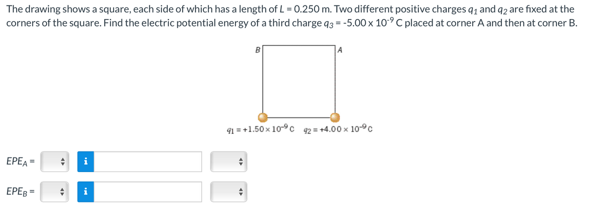 The drawing shows a square, each side of which has a length of L = 0.250 m. Two different positive charges 91 and 92 are fixed at the
corners of the square. Find the electric potential energy of a third charge 93 = -5.00 x 10-⁹ C placed at corner A and then at corner B.
ΕΡΕΑ
=
EPEB =
←
←
B
A
91 = +1.50 × 10-⁹C 92= +4.00 x 10-⁹ c