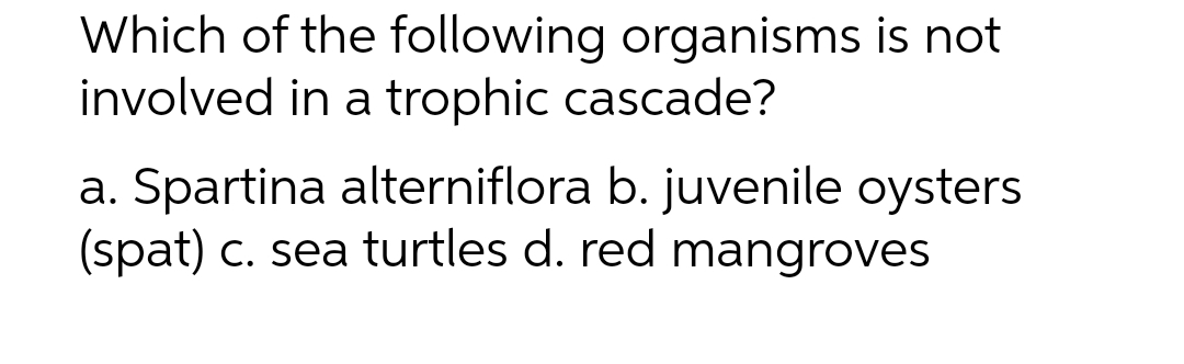 Which of the following organisms is not
involved in a trophic cascade?
a. Spartina alterniflora b. juvenile oysters
(spat) c. sea turtles d. red mangroves
