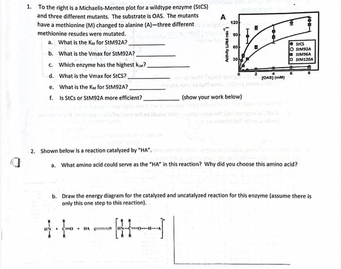 1. To the right is a Michaelis-Menten plot for a wildtype enzyme (SECS)
and three different mutants. The substrate is OAS. The mutants
have a methionine (M) changed to alanine (A)-three different
methionine resudes were mutated.
A
120
90
a. What is the KM for StM92A?
b. What is the Vmax for StM92A?
c. Which enzyme has the highest kar?.
e SICS
O SIM92A
E SIM96A
a SEM120A
60
30
d. What is the Vmax for StCS?.
(OAS) (mM)
e. What is the KM for StM92A?,
f. Is StCs or STM92A more efficient?
(show your work below)
t ed bilueb
2. Shown below is a reaction catalyzed by "HA".
a. What amino acid could serve as the "HA" in this reaction? Why did you choose this amino acid?
b. Draw the energy diagram for the catalyzed and uncatalyzed reaction for this enzyme (assume there is
only this one step to this reaction).
HA
Activity Mal min)
