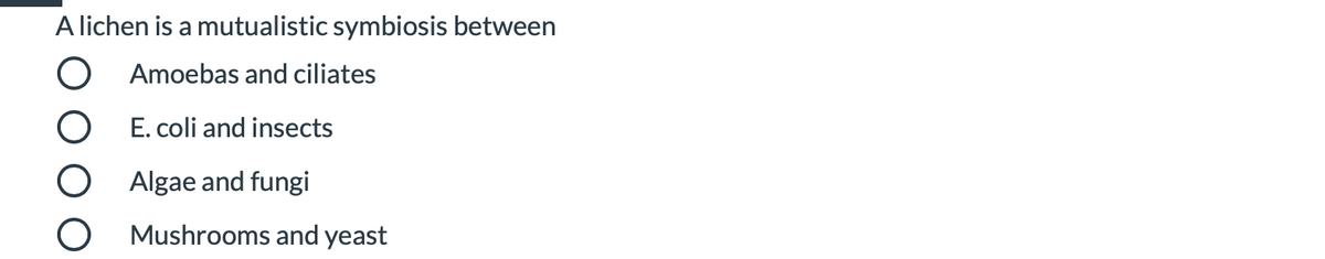 A lichen is a mutualistic symbiosis between
O Amoebas and ciliates
O E. coli and insects
O Algae and fungi
Mushrooms and yeast
