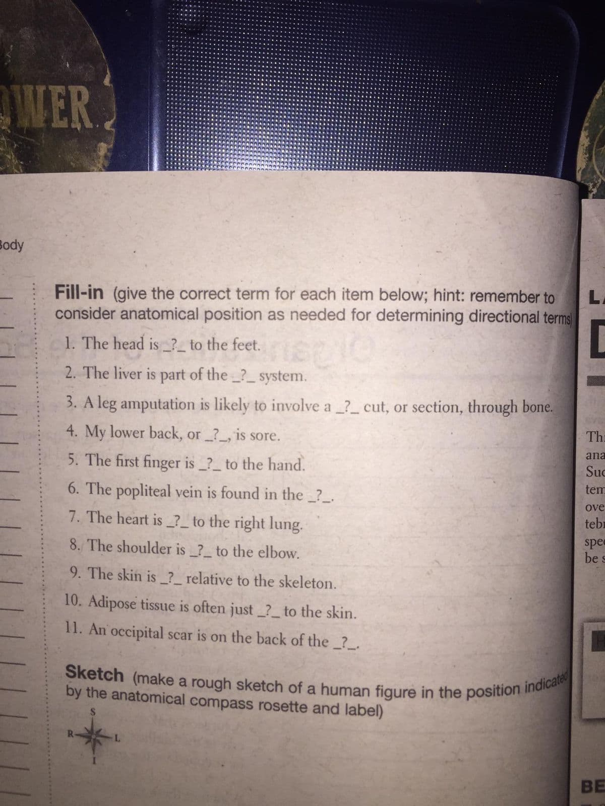 WER
Body
Fill-in (give the correct term for each item below; hint: remember to L
consider anatomical position as needed for determining directional terms
1. The head is __ to the feet. spie
2. The liver is part of the _?__ system.
3. A leg amputation is likely to involve a _?__ cut, or section, through bone.
4. My lower back, or _?__, is sore.
5. The first finger is __?__ to the hand.
6. The popliteal vein is found in the _?__.
7. The heart is __ to the right lung.
8. The shoulder is _?_ to the elbow.
9. The skin is_?_ relative to the skeleton.
10. Adipose tissue is often just _?_ to the skin.
11. An occipital scar is on the back of the _?__
Sketch (make a rough sketch of a human figure in the position indicated
by the anatomical compass rosette and label)
The
ana
Suc
tem
ove
teb
spec
be s
BE