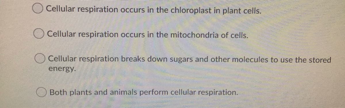 Cellular respiration occurs in the chloroplast in plant cells.
O Cellular respiration occurs in the mitochondria of cells.
O Cellular respiration breaks down sugars and other molecules to use the stored
energy.
Both plants and animals perform cellular respiration.
