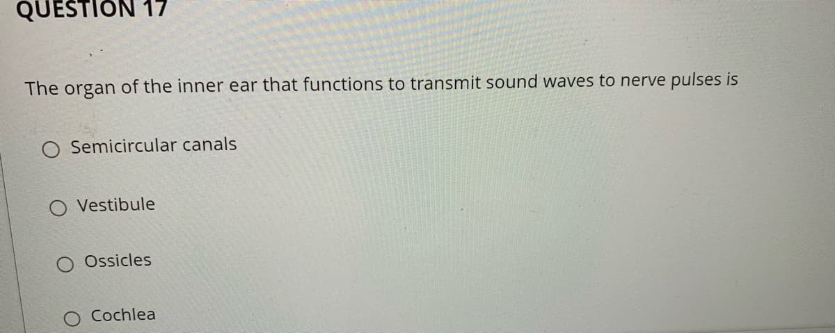 QUESTION 17
The organ of the inner ear that functions to transmit sound waves to nerve pulses is
Semicircular canals
O Vestibule
O Ossicles
Cochlea
