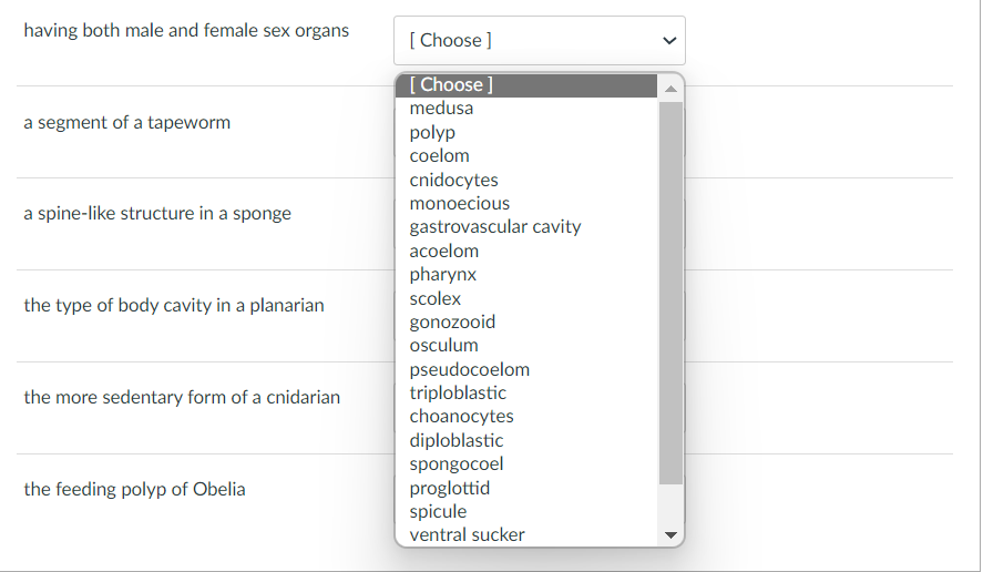 having both male and female sex organs
[ Choose ]
[Choose ]
medusa
a segment of a tapeworm
polyp
coelom
cnidocytes
monoecious
a spine-like structure in a sponge
gastrovascular cavity
acoelom
pharynx
scolex
the type of body cavity in a planarian
gonozooid
osculum
pseudocoelom
triploblastic
choanocytes
diploblastic
spongocoel
proglottid
spicule
the more sedentary form of a cnidarian
the feeding polyp of Obelia
ventral sucker
>
