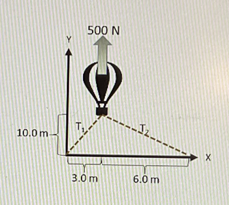 10.0 m
Y
500 N
7377
3.0 m
.ܐܠ
6.0 m
X