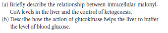 (a) Briefly describe the relationship between intracellular malonyl-
CoA levels in the liver and the control of ketogenesis.
(b) Describe how the action of glucokinase helps the liver to buffer
the level of blood ghucose.
