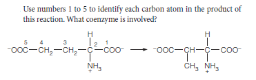 Use numbers 1 to 5 to identify each carbon atom in the product of
this reaction. What coenzyme is involved?
H
H
5
12 1
4
3
-0oc-CH,-CH,-¢-co
"ooc-CH-Ç-coo
ČH; NH,
