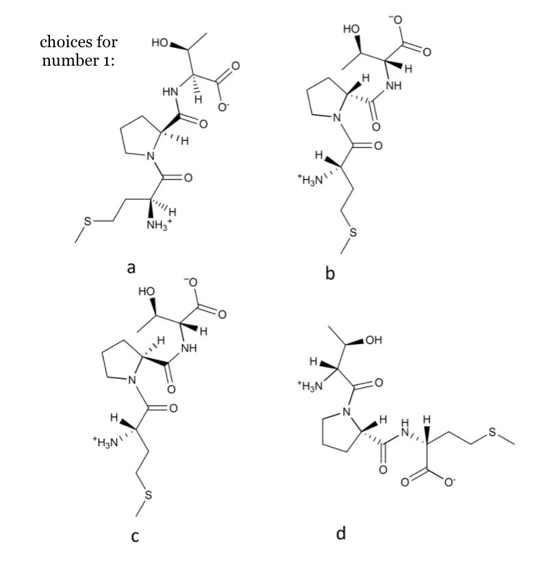 Но
choices for
HO.
number 1:
NH
HN
N-
H
*H,N
NH3
a
b
но
1タ
NH
OH
*H3N
H
.S.
d
