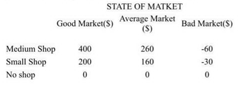 Medium Shop
Small Shop
No shop
STATE OF MATKET
Average Market
(S)
Good Market(S)
400
200
0
260
160
0
Bad Market (S)
-60
-30
0