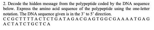 2. Decode the hidden message from the polypeptide coded by the DNA sequence
below. Express the amino acid sequence of the polypeptide using the one-letter
notation. The DNA sequence given is in the 3' to 5' direction.
CCGCTTTTACTCTGATAGACGAGTGGCGAAAATGAG
АСТАТСТGСТCА
