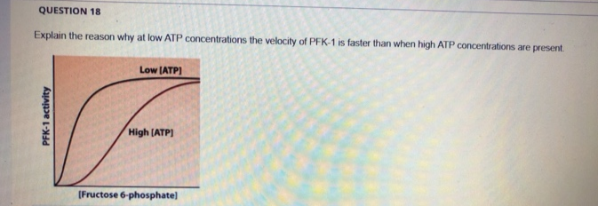 QUESTION 18
Explain the reason why at low ATP concentrations the velocity of PFK-1 is faster than when high ATP concentrations are present.
Low (ATP)
High (ATP)
(Fructose 6-phosphate)
PFK-1 activity
