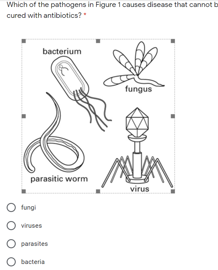 Which of the pathogens in Figure 1 causes disease that cannot b
cured with antibiotics? *
bacterium
fungus
parasitic worm
virus
fungi
viruses
parasites
O bacteria
