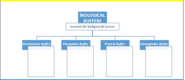 BIOLOGICAL
BUFFERS
functions for biological pH control
Bicarbonate Buffer
Phosphate Buffer
Protein Buffer
Hemoglobin Buffer
