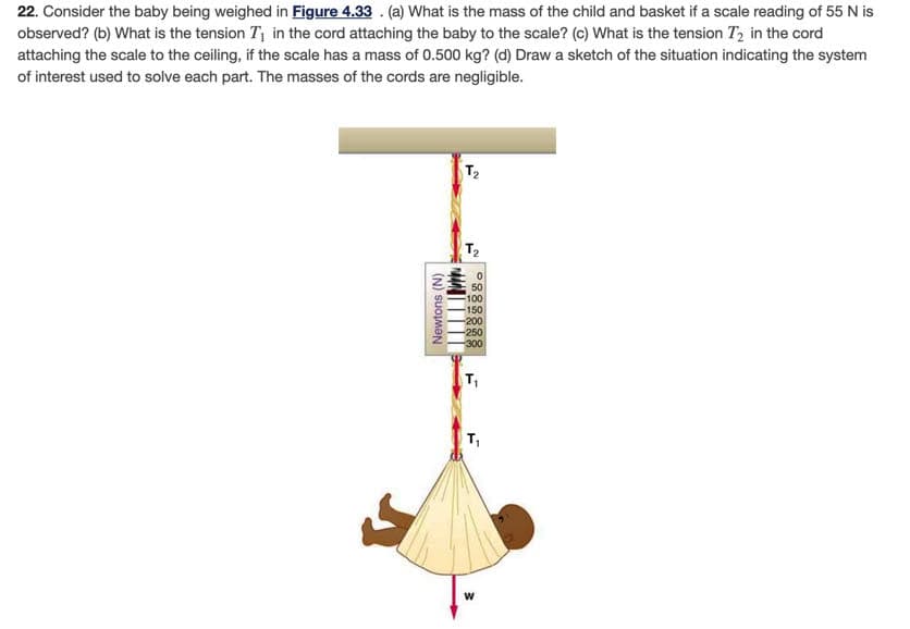 22. Consider the baby being weighed in Figure 4.33 . (a) What is the mass of the child and basket if a scale reading of 55 N is
observed? (b) What is the tension T in the cord attaching the baby to the scale? (c) What is the tension T2 in the cord
attaching the scale to the ceiling, if the scale has a mass of 0.500 kg? (d) Draw a sketch of the situation indicating the system
of interest used to solve each part. The masses of the cords are negligible.
T2
50
100
150
200
250
300
T,
т,
Newtons (N)
