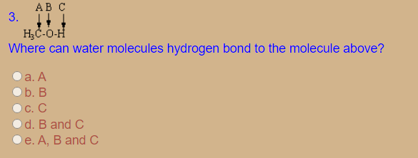 AB C
3.
H;C-O-H
Where can water molecules hydrogen bond to the molecule above?
а. А
b. В
С. С
d. B and C
e. A, B and C
