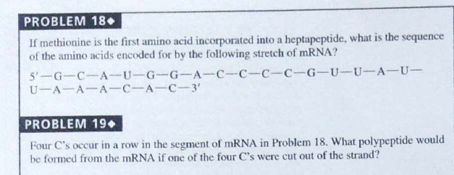 PROBLEM 18.
If methionine is the first amino acid incorporated into a heptapeptide, what is the sequence
of the amino acids encoded for by the following stretch of mRNA?
5'-G-C-A-U-G-G-A-C-C-C-C-G-U-U-A-U-
U-A-A-A-C-A-C-3'
PROBLEM 19
Four C's occur in a row in the segment of mRNA in Problem 18. What polypeptide would
be formed from the mRNA if one of the four C's were cut out of the strand?
