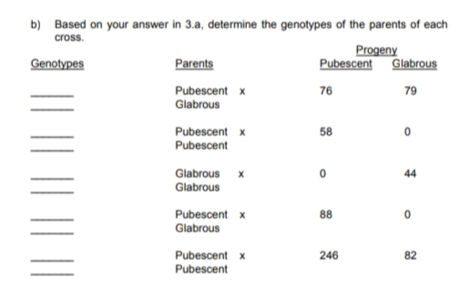 b) Based on your answer in 3.a, determine the genotypes of the parents of each
cross.
Progeny
Pubescent Glabrous
Genotypes
Parents
Pubescent x
Glabrous
76
79
Pubescent x
58
Pubescent
Glabrous x
Glabrous
44
Pubescent x
Glabrous
88
Pubescent x
Pubescent
246
82
| |||
