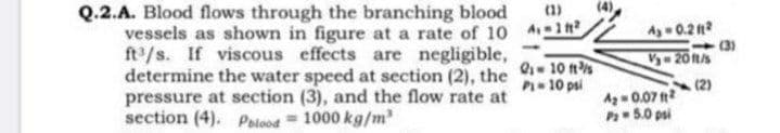 Q.2.A. Blood flows through the branching blood
vessels as shown in figure at a rate of 1o Aln
ft/s. If viscous effects are negligible,
determine the water speed at section (2), the 10 ts
pressure at section (3), and the flow rate at
section (4). Palood 1000 kg/m
(1)
A 0.2
(3)
V 20/s
P- 10 psi
(2)
Ag 0.07 ?
5.0 psi
