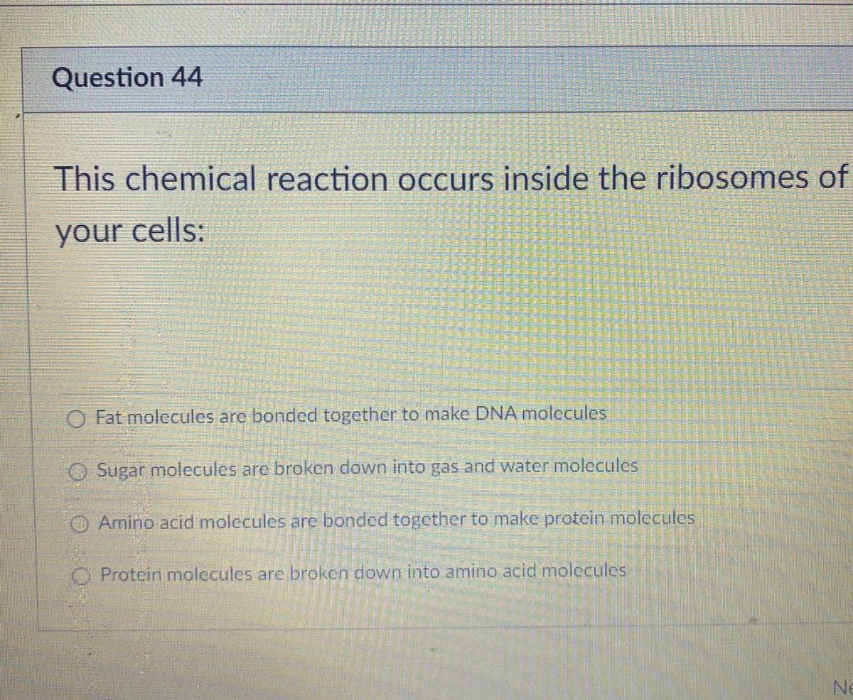 Question 44
This chemical reaction occurs inside the ribosomes of
your cells:
O Fat molecules arc bonded together to make DNA molecules
O Sugar molecules are broken down into gas and water molecules
O Amino acid molecules are bonded together to make protein molecules
O Protein molecules are broken down into amino acid molecules
Ne
鞋
