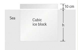 Ţ10 cm
Sea
Cubic
ice block
