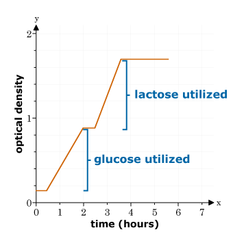 y
2
lactose utilized
glucose utilized
0-
1
3
4
5
6
7
time (hours)
optical density
