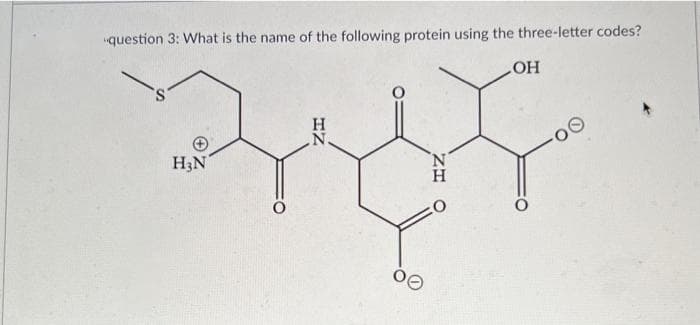 "question 3: What is the name of the following protein using the three-letter codes?
OH
S
N
Η
H₂N
IZ
ZH
:O
·OO