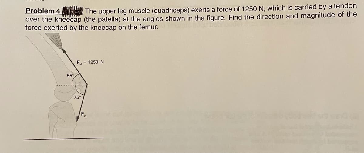 Problem 4 The upper leg muscle (quadriceps) exerts a force of 1250 N, which is carried by a tendon
over the kneecap (the patella) at the angles shown in the figure. Find the direction and magnitude of the
force exerted by the kneecap on the femur.
F, = 1250 N
55°
75°
Fo
