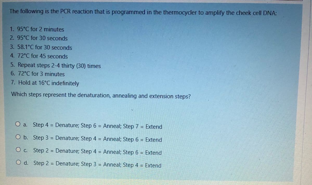 The following is the PCR reaction that is programmed in the thermocycler to amplify the cheek cell DNA:
1. 95°C for 2 minutes
2. 95°C for 30 seconds
3. 58.1°C for 30 seconds
4. 72°C for 45 seconds
5. Repeat steps 2-4 thirty (30) times
6. 72°C for 3 minutes
7. Hold at 16°C indefinitely
Which steps represent the denaturation, annealing and extension steps?
O a. Step 4 = Denature; Step 6 = Anneal; Step 7 = Extend
%3D
O b. Step 3 = Denature; Step 4 = Anneal; Step 6 = Extend
%3D
!!
C. Step 2 = Denature; Step 4 = Anneal; Step 6 = Extend
%3D
O d. Step 2 = Denature; Step 3 = Anneal; Step 4 = Extend
