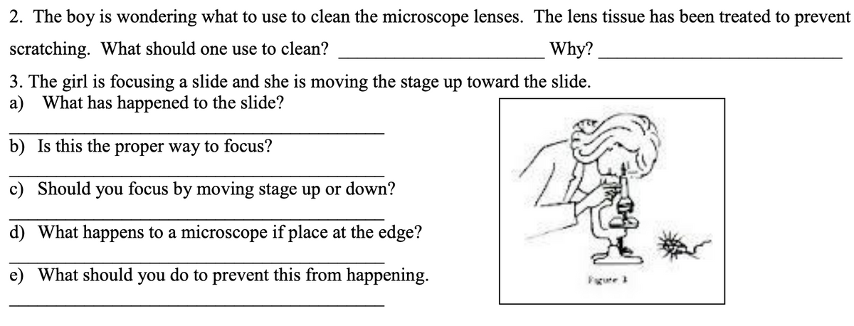 2. The boy is wondering what to use to clean the microscope lenses. The lens tissue has been treated to prevent
scratching. What should one use to clean?
Why?
3. The girl is focusing a slide and she is moving the stage up toward the slide.
a) What has happened to the slide?
b) Is this the proper way to focus?
c) Should you focus by moving stage up or down?
d) What happens to a microscope if place at the edge?
e) What should you do to prevent this from happening.
Fgute 3

