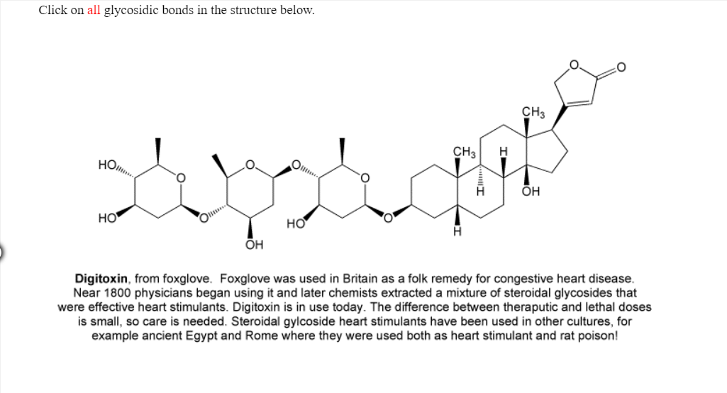 Click on all glycosidic bonds in the structure below.
CH3
но
0
он
но
но
он
Digitoxin, from foxglove. Foxglove was used in Britain as a folk remedy for congestive heart disease.
Near 1800 physicians began using it and later chemists extracted a mixture of steroidal glycosides that
were effective heart stimulants. Digitoxin is in use today. The difference between theraputic and lethal doses
is small, so care is needed. Steroidal gylcoside heart stimulants have been used in other cultures, for
example ancient Egypt and Rome where they were used both as heart stimulant and rat poison!
