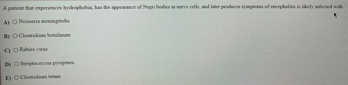 A patient that experiences hydrophobia, has the appearance of Negri bodies in nerve cells, and later produces symptoms of encephalitis is likely infected with
A) O Neisseria meningitidis
B) O Clostridium botulinum
C) O Rabies virus
D) O Streptococcus pyogenes
E) O Clostridium tetani
