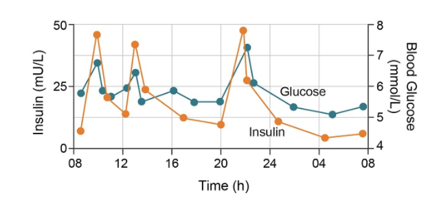 50
25-
Glucose
Insulin
.4
08
12
16
24
04
08
Time (h)
Blood Glucose
(mmol/L)
20
Insulin (mU/L)
