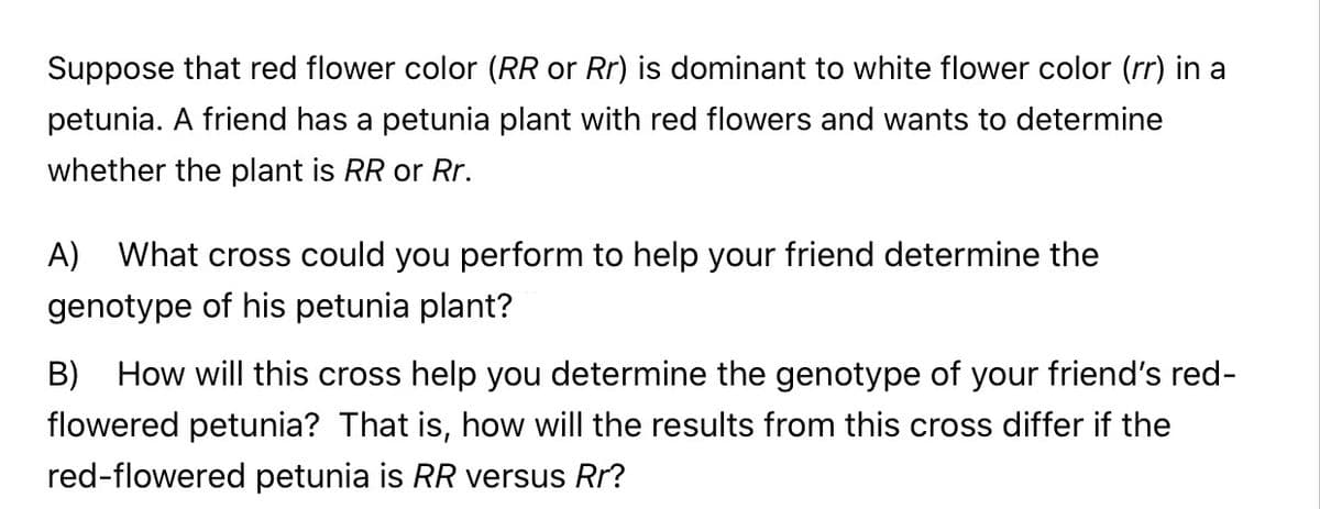Suppose that red flower color (RR or Rr) is dominant to white flower color (rr) in a
petunia. A friend has a petunia plant with red flowers and wants to determine
whether the plant is RR or Rr.
A)
What cross could you perform to help your friend determine the
genotype of his petunia plant?
B) How will this cross help you determine the genotype of your friend's red-
flowered petunia? That is, how will the results from this cross differ if the
red-flowered petunia is RR versus Rr?
