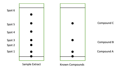 Spot 6
Compound C
Spot 5
Spot 4
Spot 3
Compound B
Spot 2
Spot 1
Compound A
Sample Extract
Known Compounds
