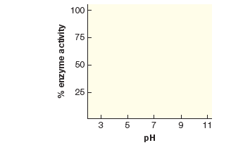 100
75
50
25
7
6.
11
pH
% enzyme activity
3.
